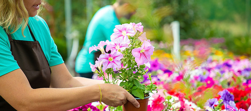 Woman handling flowers